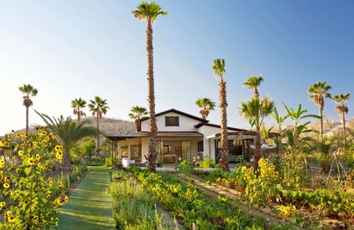San Jose del Cabo House | Culinary Cottages at Flora Farms 2-BR