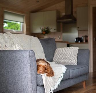 West Tanfield Apartment | Curlew Lodge Yorkshire