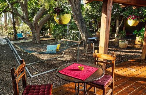 Ramot Cabin | Curry