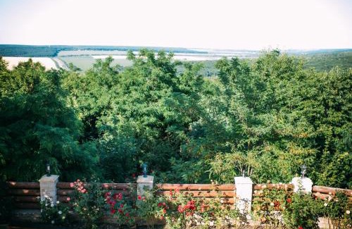 Moldova Hotel | Curtea Boierului Hotel