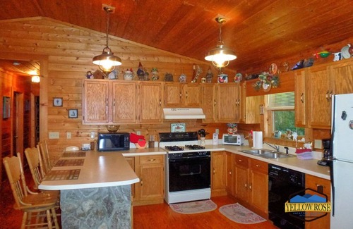 Maggie Valley Cabin | Customer Appreciation Year! See Discount information in Ad