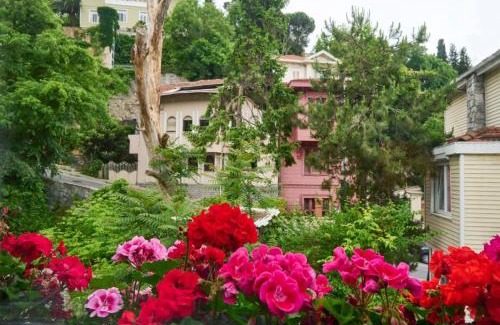 Bebek Apartment | Cute Charming 1bed1bath Bebek Hidden Gem! #77