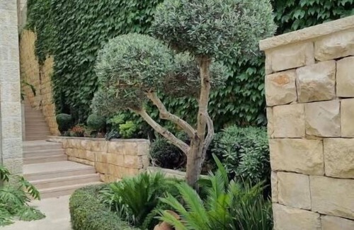 Ein Karem Apartment | Cute Studio near Yad Vashem. Free street parking.