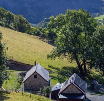 Rhayader House | Cwm Clyd - Carthouse