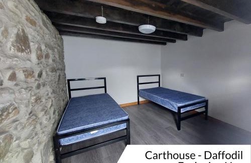 Rhayader House | Cwm Clyd - Carthouse