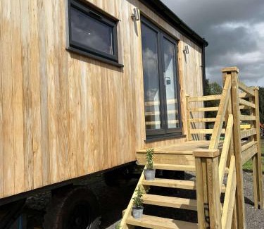 Llanelltyd Other | Cwtch Cader Shepherds Hut