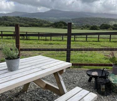Llanelltyd Other | Cwtch Cader Shepherds Hut