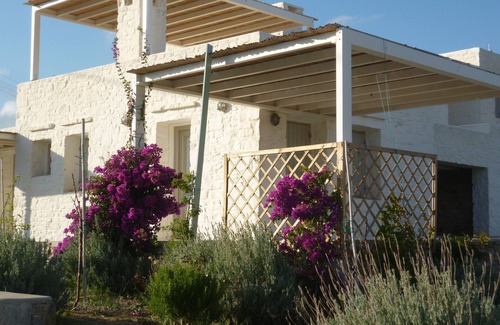 Piso Livadi House | Cycladic villa with infinity pool, breathtaking sea view