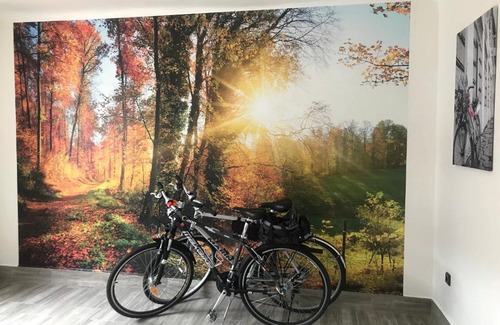 Lomnice nad Luznici Apartment | Cyklo-Moto apartmán
