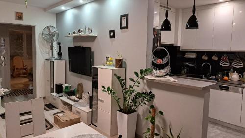 Zamosc Apartment | Czuj się jak u siebie