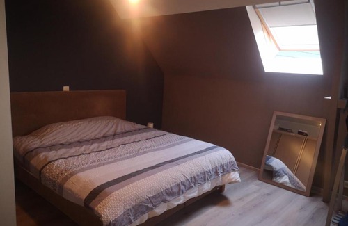 Ellezelles House | Découvrye Rigaudrye