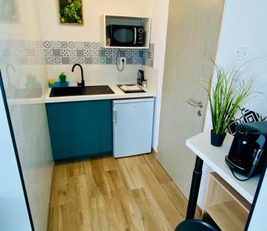Aussonne Apartment | Dépendance 2 chambres secteur MEETT