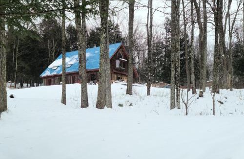 Potton Ski Chalet | Détente au coeur de la forêt
