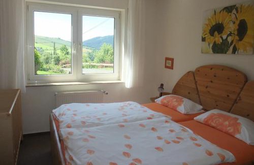 Olsberg Apartment | Dümpelhof Ferienwohnungen