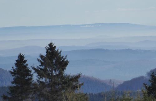 Olsberg Apartment | Dümpelhof Ferienwohnungen