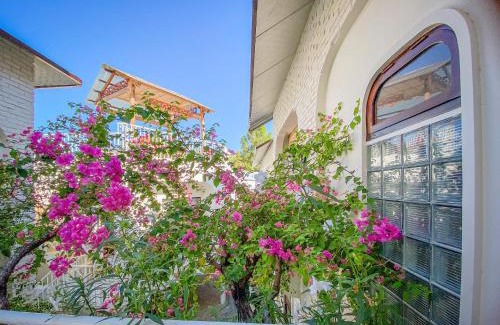 Tay Ninh Apartment | DƯỚI TÁN CÂY homestay