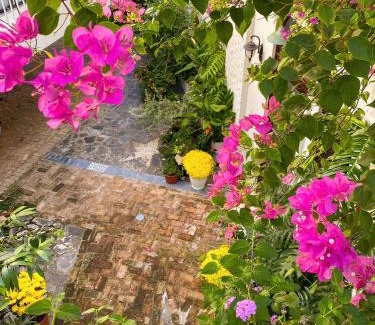 Tay Ninh Apartment | DƯỚI TÁN CÂY homestay