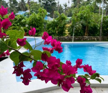 Panglao House | D ARC Leisure Home By The Sea