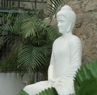 Kollam Hotel | D Fort Hotel Kollam