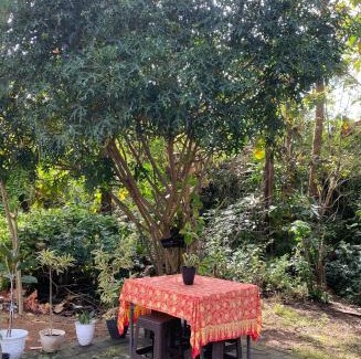 Kampial House | D' Jati Homestay