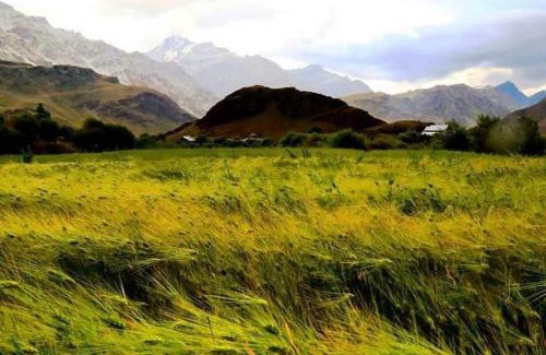 Kargil Hotel | D ROYAL LADAKH Hotel & Restaurant