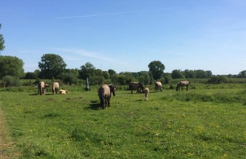 Leut House | d'Uyterwaerde