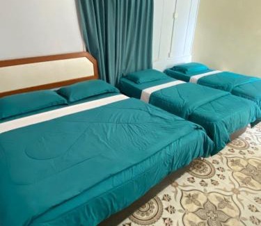 Kuala Tahan Hotel | D view hill hotel
