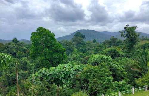 Kuala Tahan Hotel | D view hill hotel