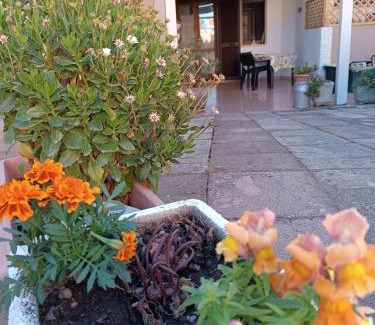 Palmadula House | Da Francesca