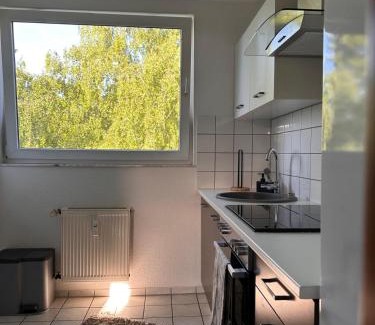 Oberdorla Apartment | Dachnest mit Charme