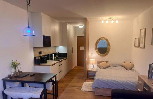 Bad Goisern Apartment | Dachstein 529