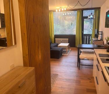 Bad Goisern Apartment | Dachstein 529