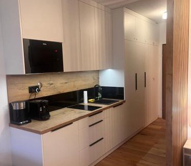 Bad Goisern Apartment | Dachstein 529