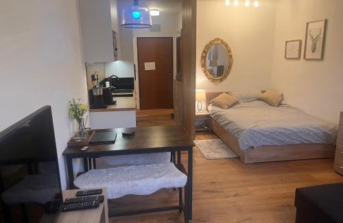 Bad Goisern Apartment | Dachstein 529