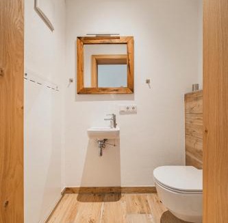 Russbach am Pass Gschuett Apartment | Dachstein West Apartment 1B