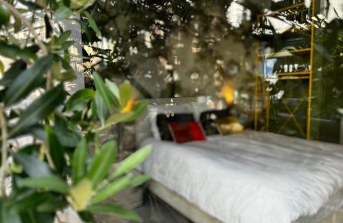 Neude Janskerkhof en Domplein Hotel | Daen’s Greenhouse