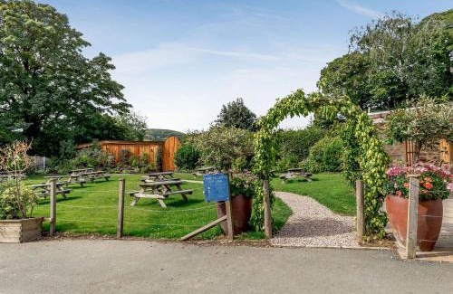Llangadfan House | Daffodil - Uk40266
