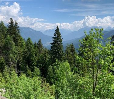 Cibiana di Cadore Apartment | Dafne Dolomites