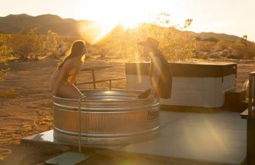 Landers House | Dagger Tree Oasis l Integratron 5Bed and Cowboy Pool