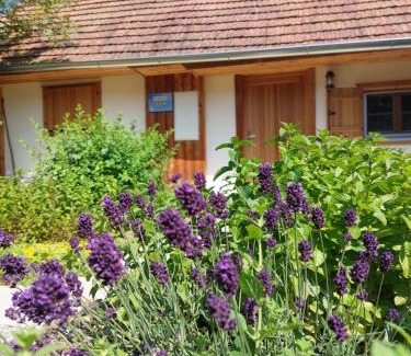 Bildein House | Dahuam am Weinberg