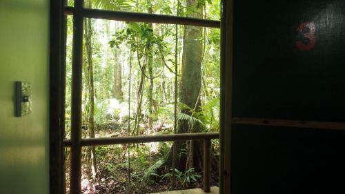 Cow Bay Cabin | Daintree Crocodylus