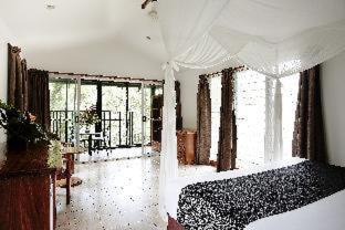 Lower Daintree Resort | Daintree Ecolodge