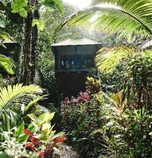 Lower Daintree Resort | Daintree Ecolodge