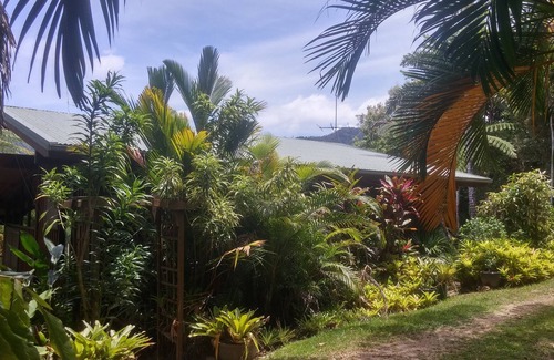 Diwan House | Daintree Holiday Homes - The Folly - Nature Retreat Daintree