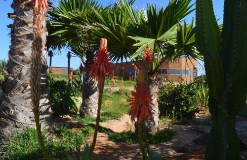 Dakhla Resort | Dakhla Kitesurf World