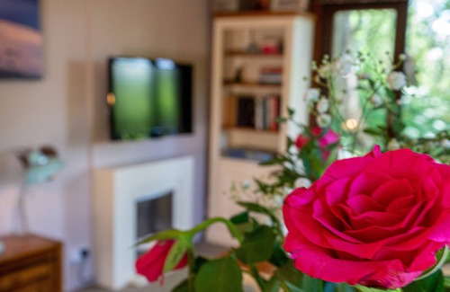 Skelwith Bridge Cabin | Dalehead Tarn Lodge - Situated in a Woodland Estate (Dog-friendly)