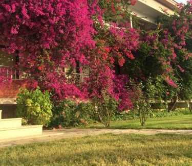 Dalyan Hotel | Dalyan Palmiye Resort Hotel