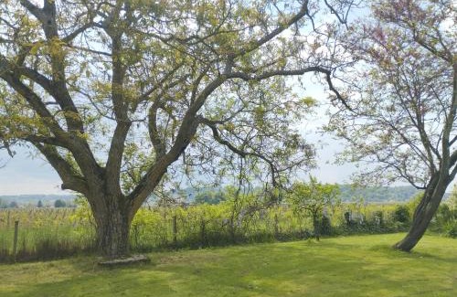 Pujols Bed & Breakfast | DameChouette