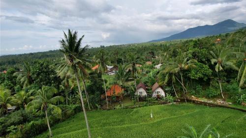Sukasada House | Damuh Pertivi, River and Rice Fields View
