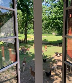 Hassleholm Municipality House | Damwildfarm in Rollerbü Südschweden